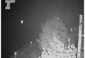 Veneta: ORE126 at Walton (Cougar/Badger Pass)
