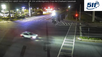 Savannah