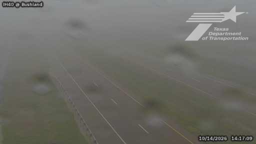IH40 Camera @ Bushland