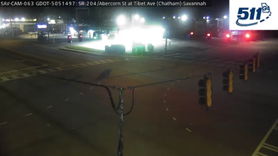 Savannah: White Bluff