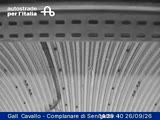 Gall. Cavallo - Complanare di Senigallia