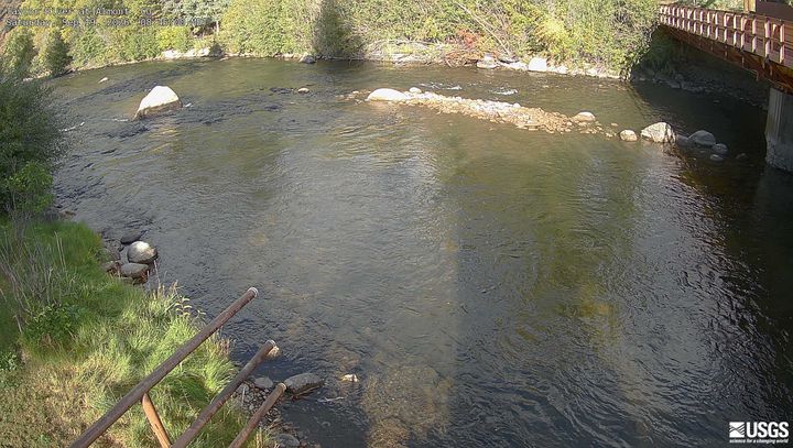 Taylor River at Almont