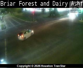 Briar Forest@Dairy Ashford