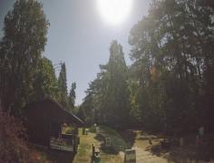 Gödöllő - Arbo-Park