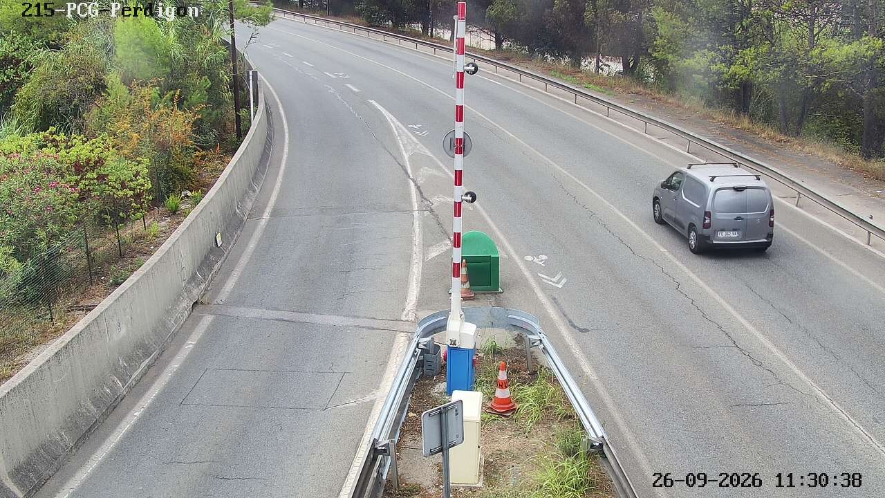 CAM215 - RD 6185 - PCG - Perdigon