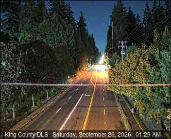 MILITARY RD S & S 272 ST (SE CORNER)