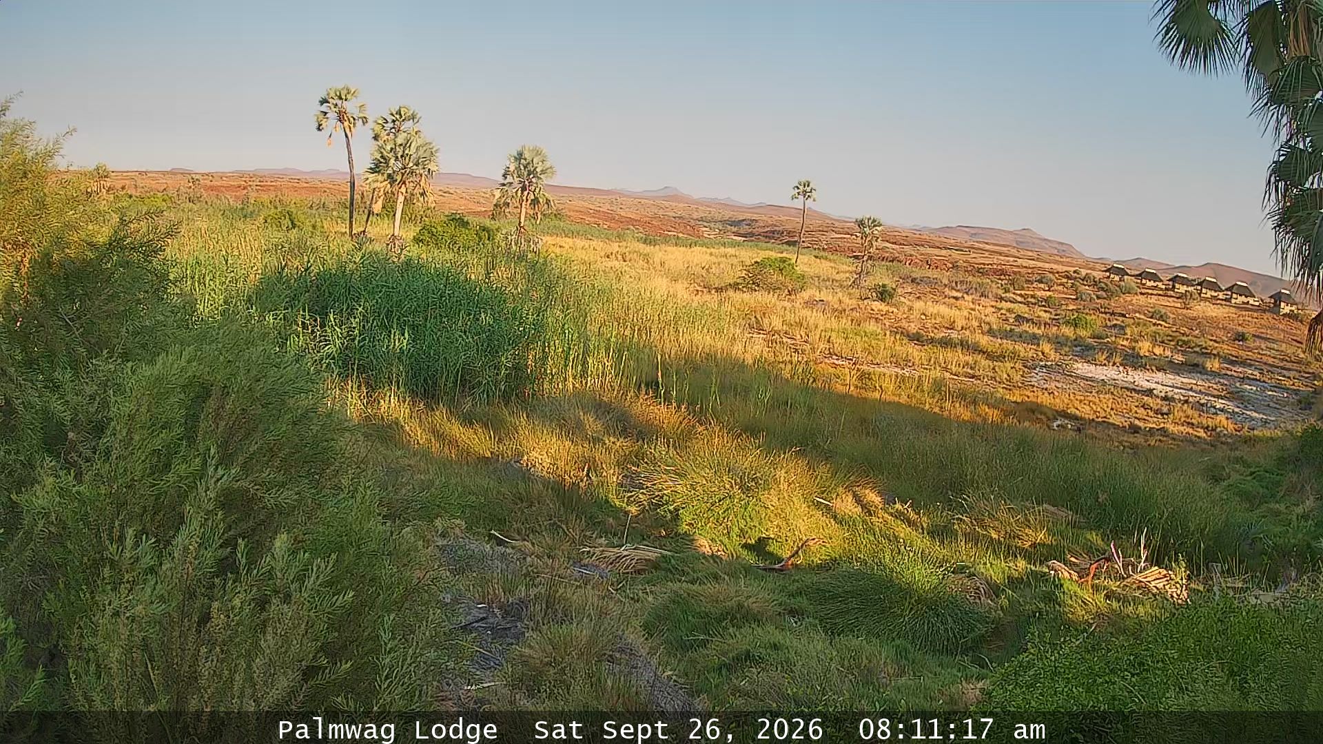 Namibia - Palmwag Lodge