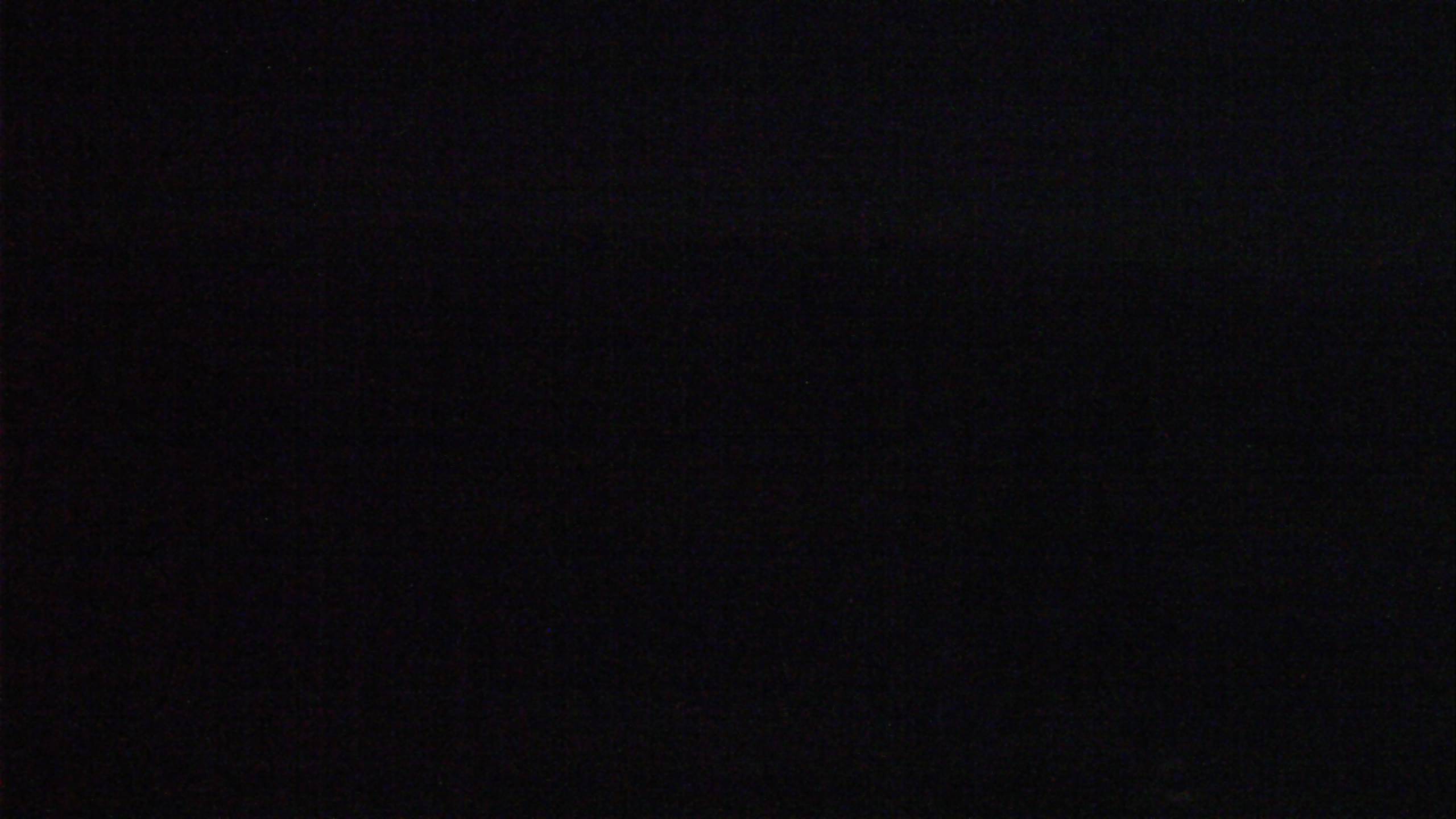 Newfound Gap Webcam