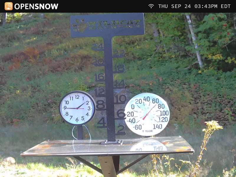 Wildcat - Snow Stake
