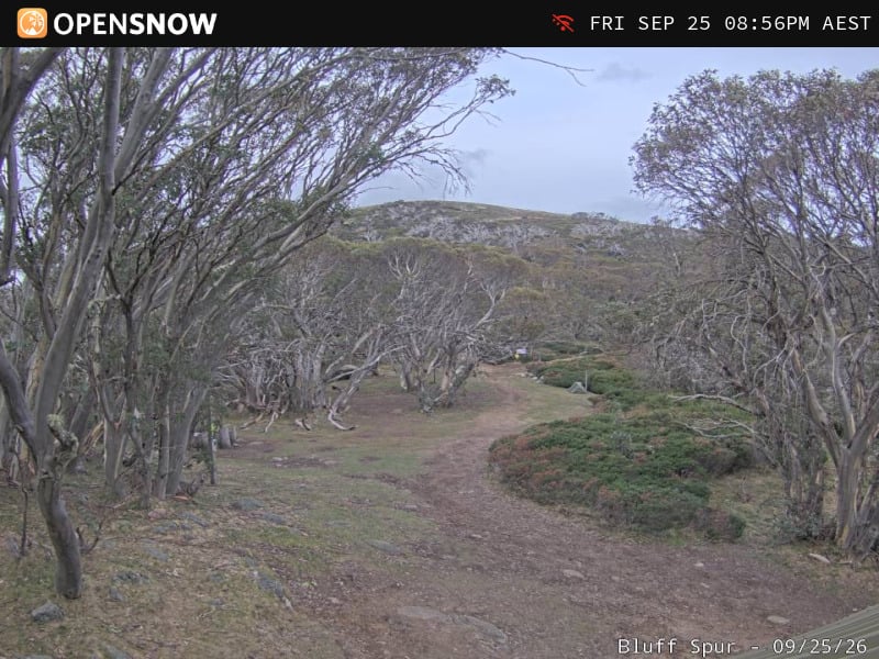 Mt Stirling - Bluff Spur