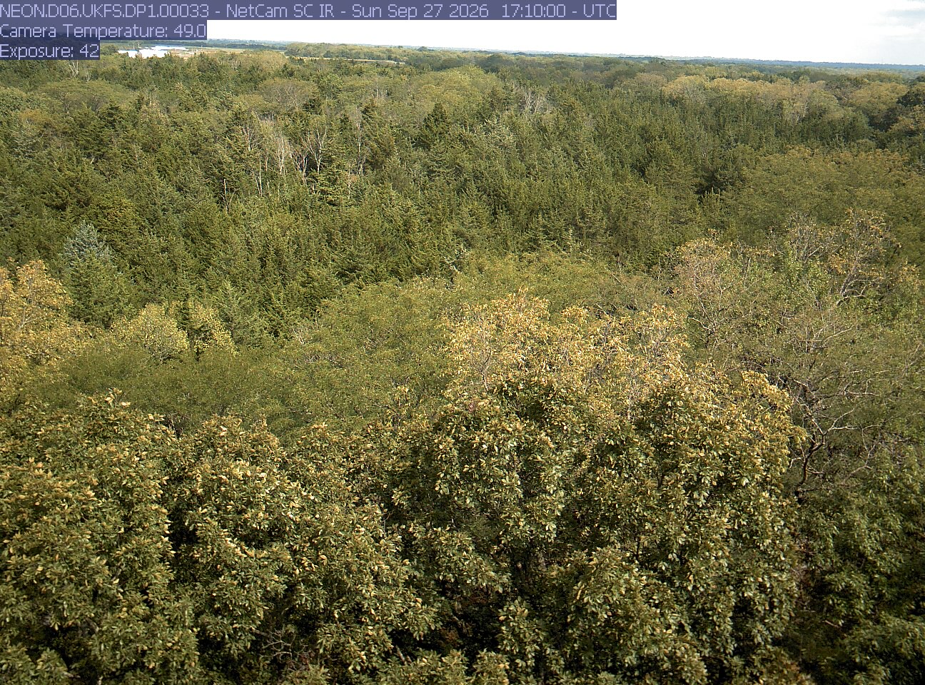 NEON Site - D06 (Prairie Peninsula) The University of Kansas Field Station, Kansas - tower top