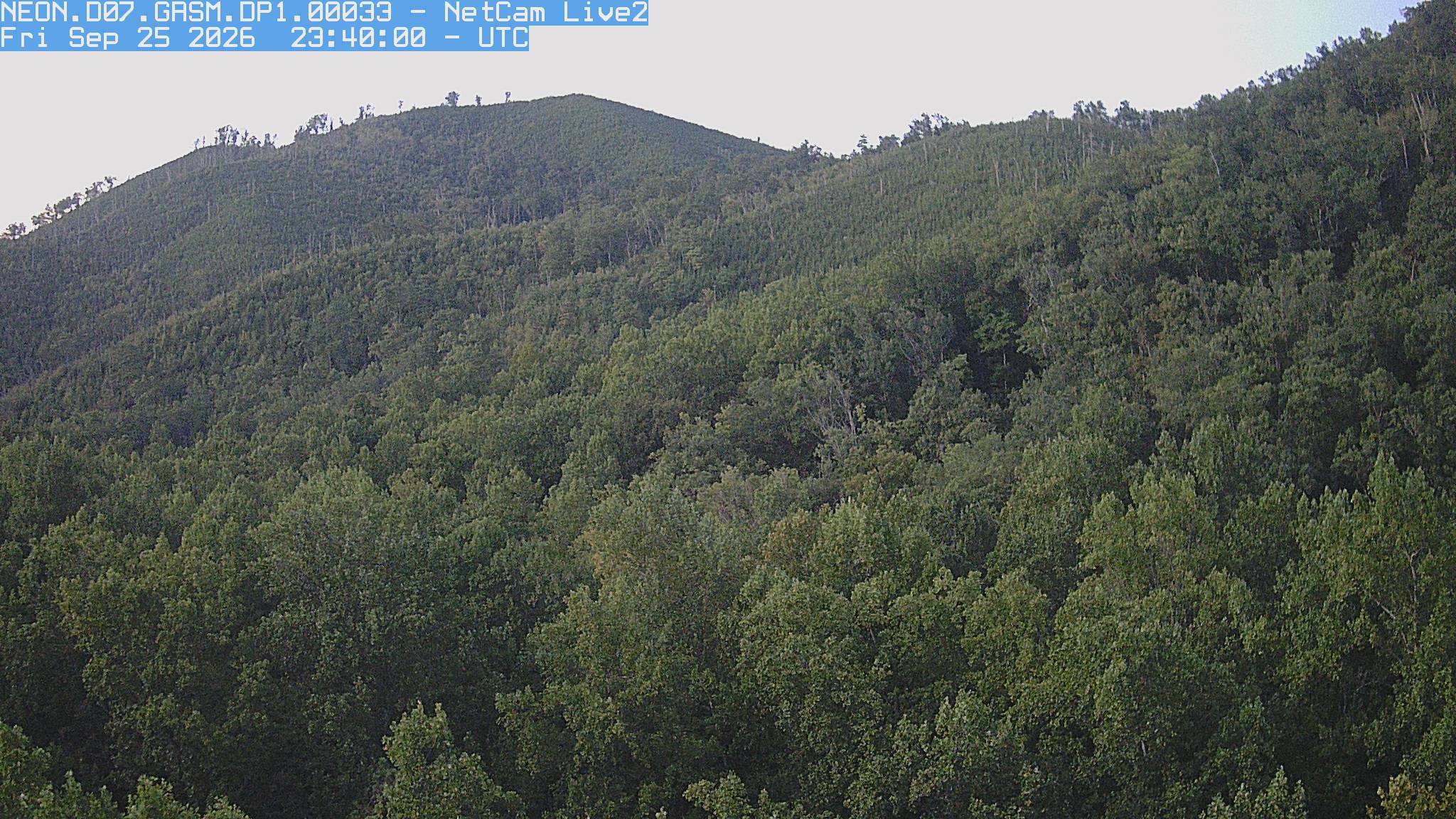NEON Site - D07 (Appalachians and Cumberland Plateau) Great Smoky Mountains National Park, Tennessee - tower top
