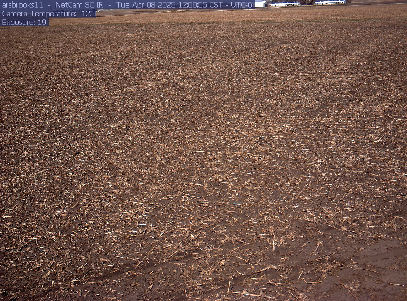 Brooks Field site 11, Ames, Iowa