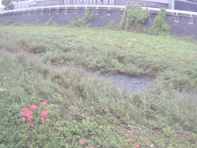 Aikawa River at Aikawa First Bridge