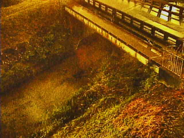 Shinjuku Bridge, Otsu