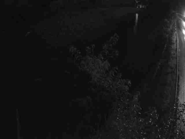 Katsura River Upper Kuroda