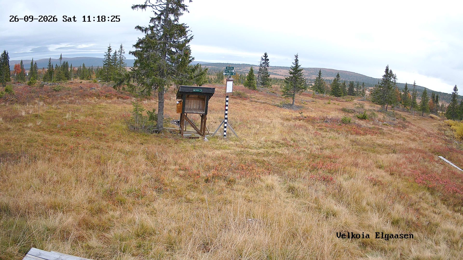 Elgåsen, Hedmark County
