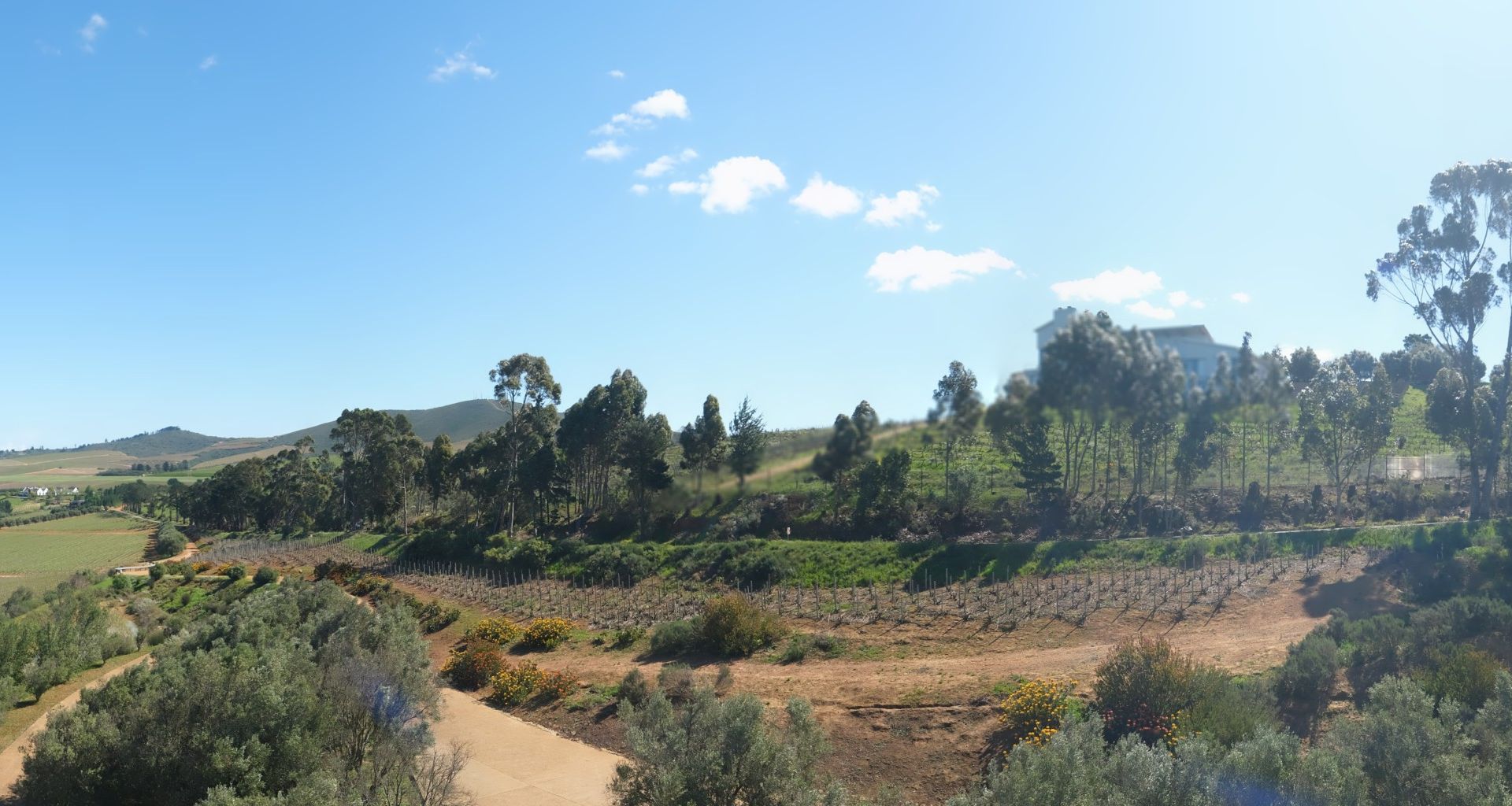 Stellenbosch Local Municipality: Stellenbosch Ward 19: Le Grand Domaine - Stellenbosch