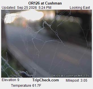 OR126 at Cushman