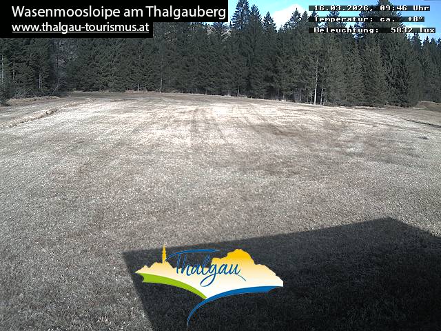 Wasenmoosloipe;Wasenmooslift;Langlaufen am Thalgauberg