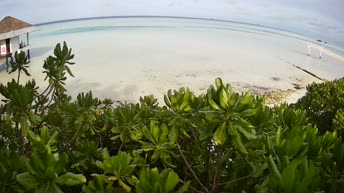 Pullman Maamutaa Island