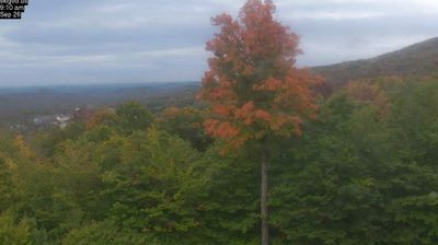 Stratton: VT