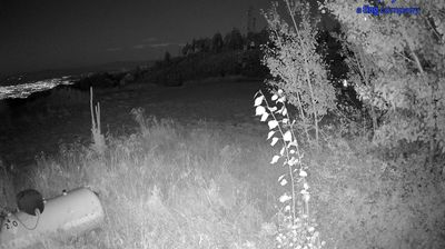 Soldier Camp › North: East Cap Rock Trail