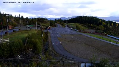 Palmafossen: Voss
