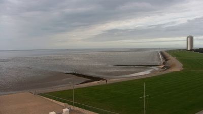 Busum: Livespotting - Live am Hauptstrand in - an der Nordseeküste