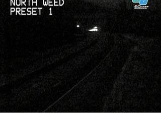 Weed: North