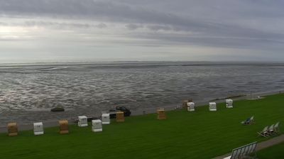 Busumer Deichhausen: Livespotting - Live am Wattenmeer der Nordsee an der Meldorfer Bucht