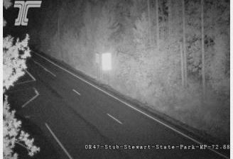 Vernonia: ORE47 at Stub Stewart Park