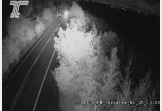 Buckheaven: ORE219 at Chehalem Mt