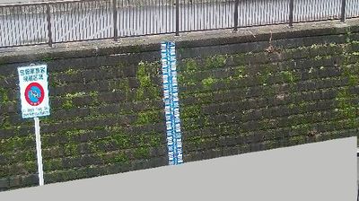 Nakano