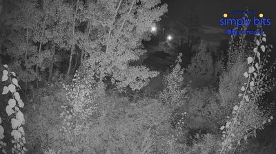 Pima County › North-east: Mt Lemmon Ski Valley