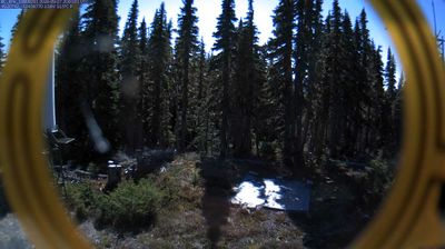 Area C: Mount Arrowsmith