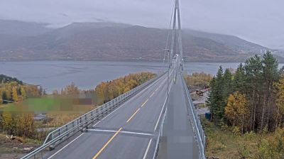 Narvik: Øyjord