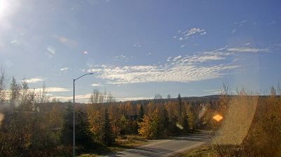 Fox: Goldstream