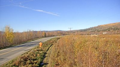 Fox: Goldstream