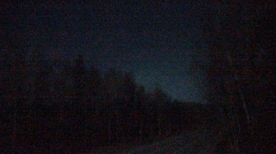 Musk Ox: Ballaine Road @ Red Fox Drive