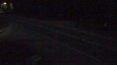Musk Ox: Ballaine Road @ Red Fox Drive