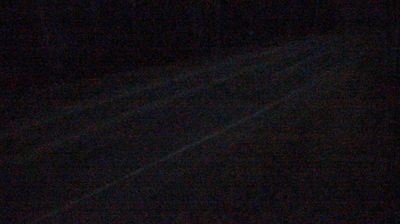 Musk Ox: Ballaine Road @ Red Fox Drive