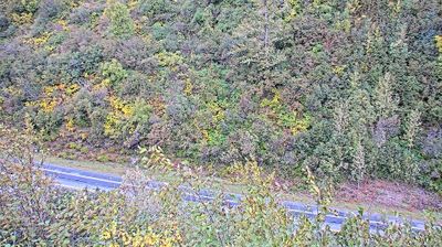 Valdez: Richardson Highway