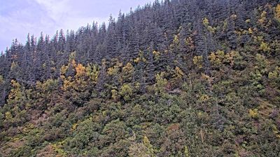 Valdez: Richardson Highway