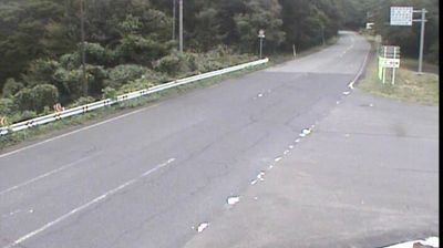 Oshu: National Route 397
