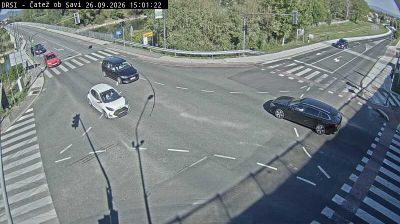 Brezice: Trnje: R1-219, Čatež ob Savi, v križišču Čatež ob Savi
