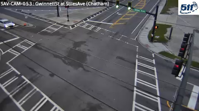 Savannah