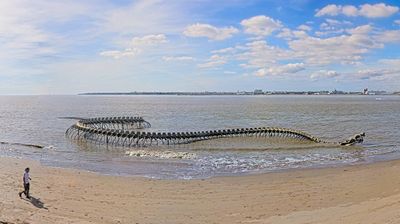 Saint-Brevin-les-Pins: Serpent d’Océan