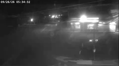 Pulaski