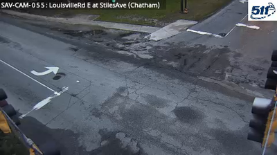 Savannah